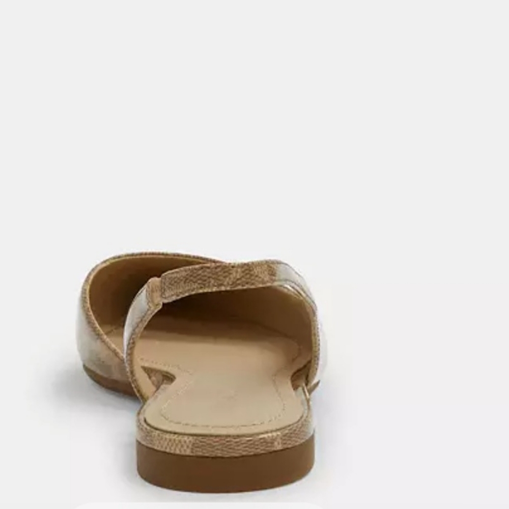 Coach Shoes - Picture 6 of 6